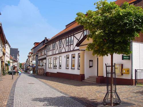 Hotel Garni Am Thueringer Klosstheater フリードリッヒローダ エクステリア 写真